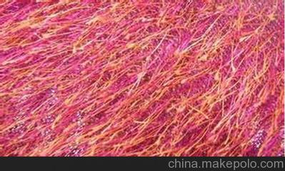 南京松針絨銷售與揚州凱潤達針紡織品 品質與信賴的雙重保障